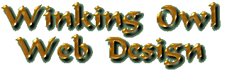 Winking Owl Web Design